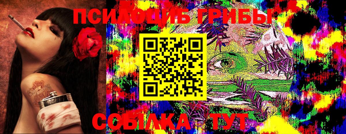 Дзержинск  Псилоцибиновые грибы Cubensis  что такое   Вход с VPN  Псилоцибиновые грибы MAGIC MUSHROOMS 